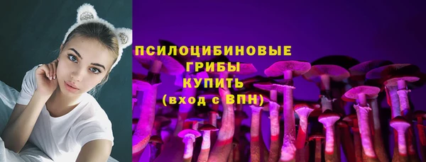 СК Киреевск