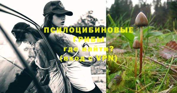 прущая мука Киренск