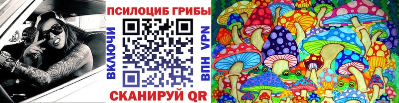 Купить закладки  Краснослободск  Псилоцибиновые грибы ЛСД 